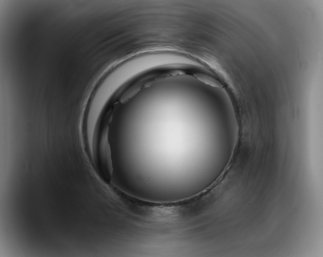 X0000090721181200707201342