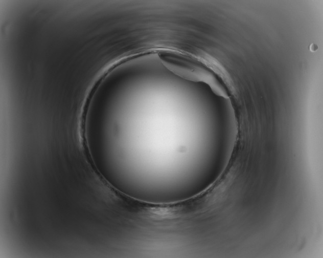 X0000090721182200707201342