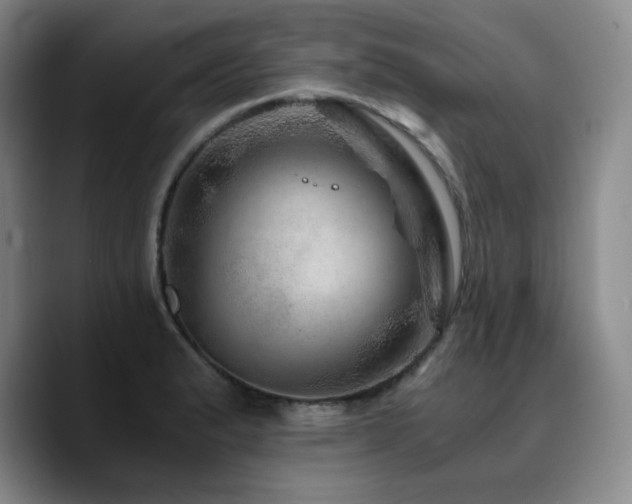 X0000090721183200707201342