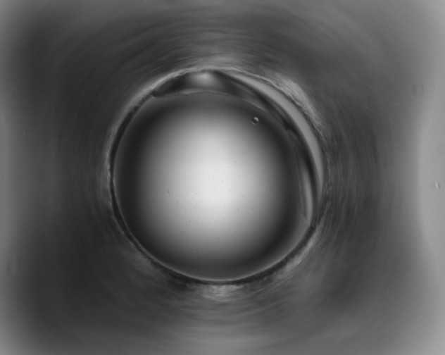 X0000090721184200707201342