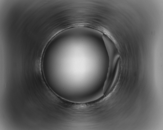 X0000090721186200707201342