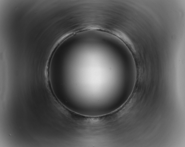 X0000090721190200707201342
