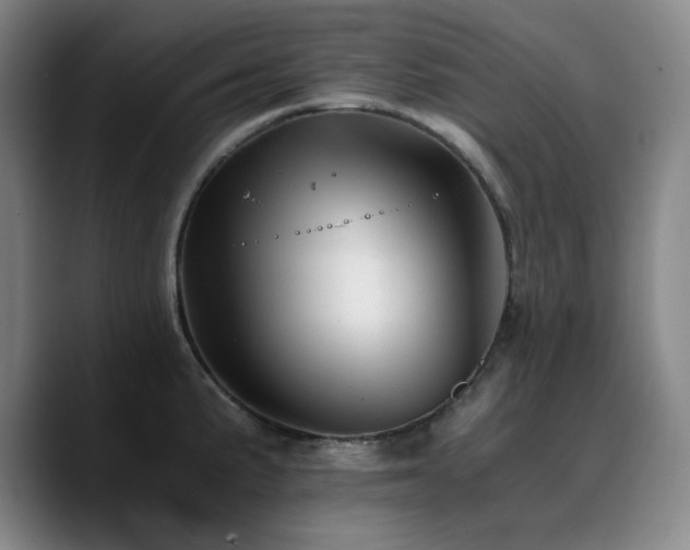 X0000090721191200707201342