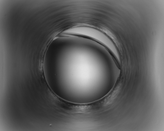 X0000090721193200707201342