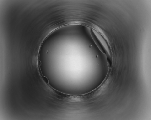 X0000090721194200707201342