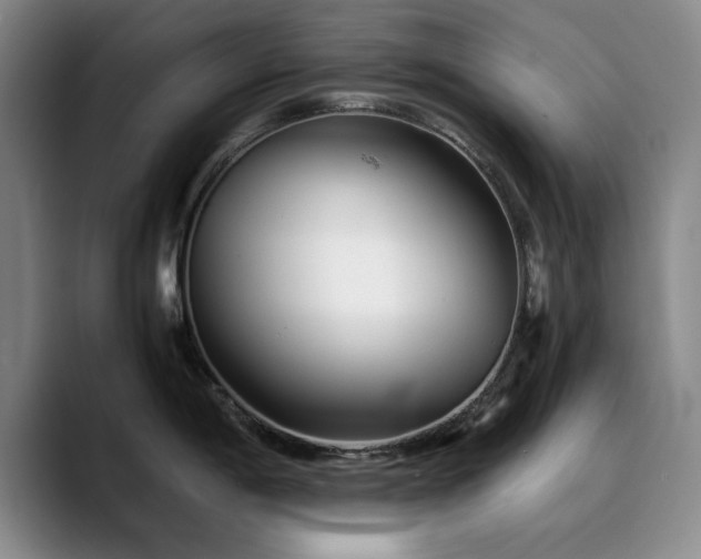 X0000090721198200707201342