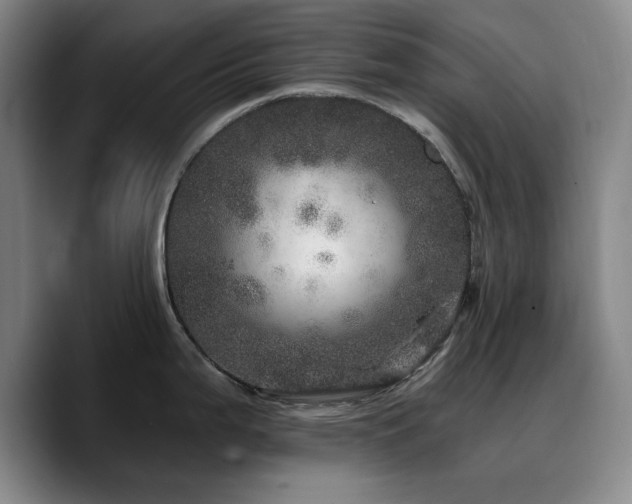 X0000090721199200707201341