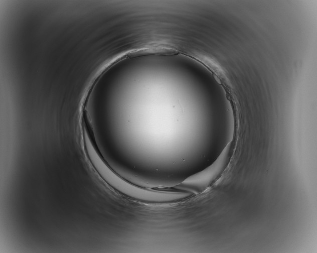 X0000090721200200707201341