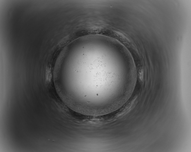 X0000090721204200707201341