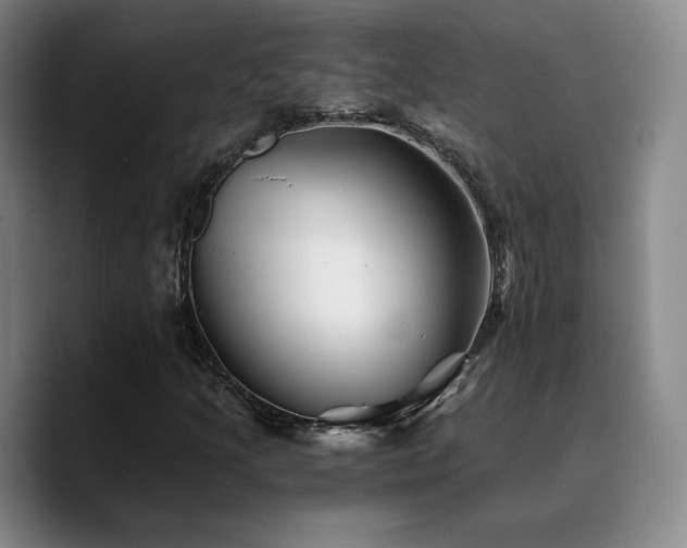 X0000090721205200707201341