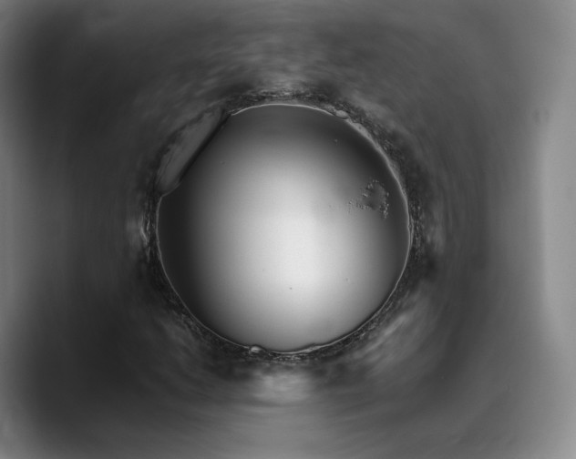 X0000090721206200707201341