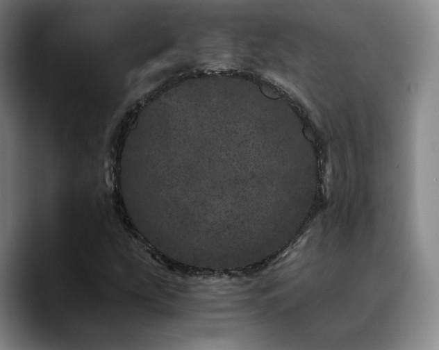 X0000090721207200707201341