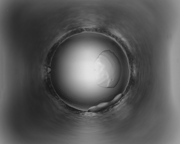 X0000090721208200707201341