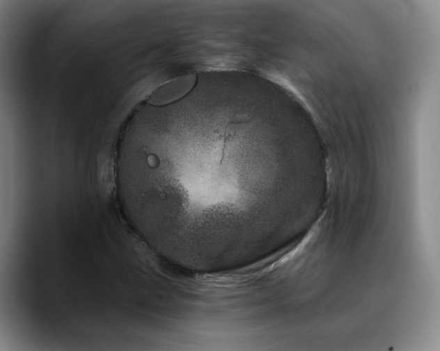 X0000090721211200707201341