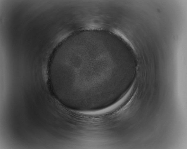 X0000090721213200707201341