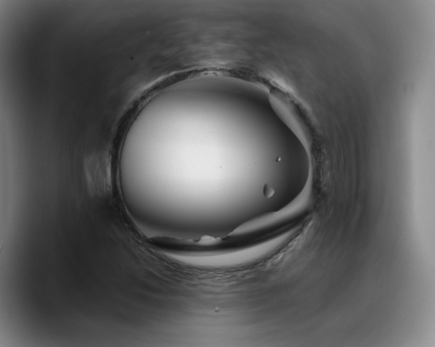 X0000090721214200707201341