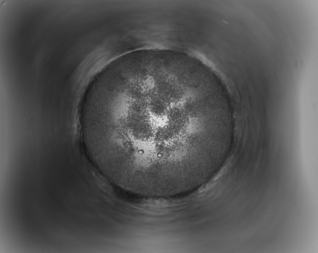 X0000090721215200707201341