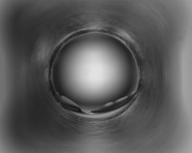 X0000090721216200707201341