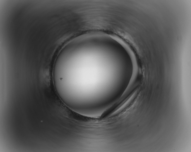 X0000090721218200707201341