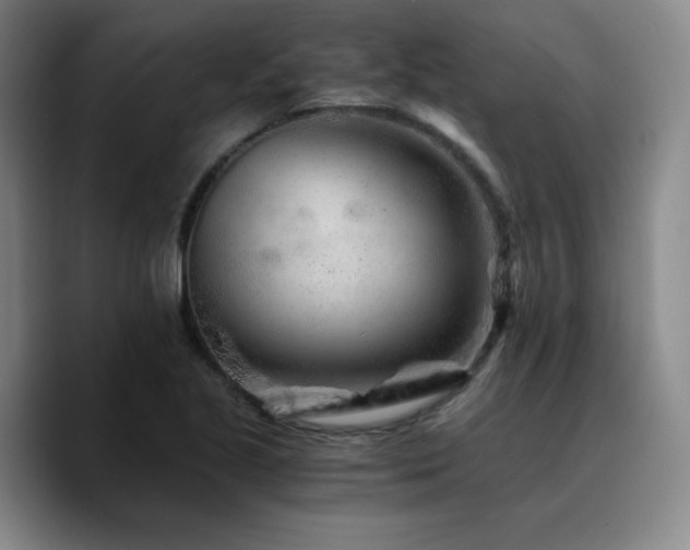 X0000090721221200707201341