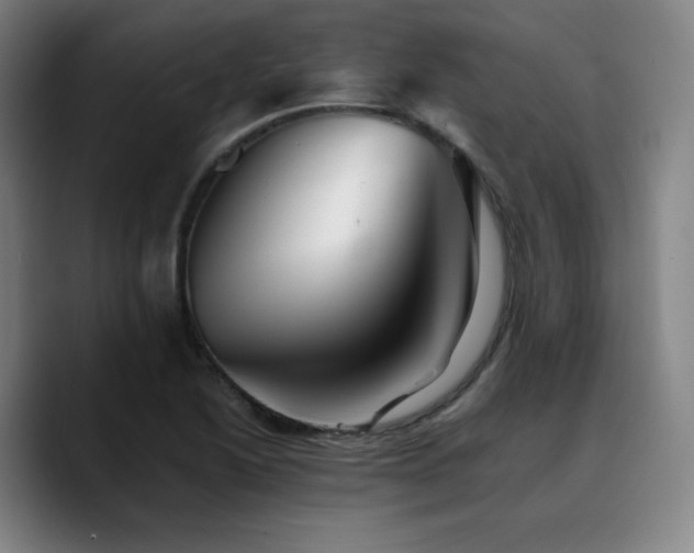 X0000090721222200707201341