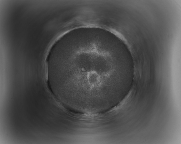 X0000090721223200707201341