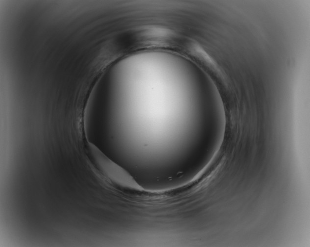 X0000090721225200707201341