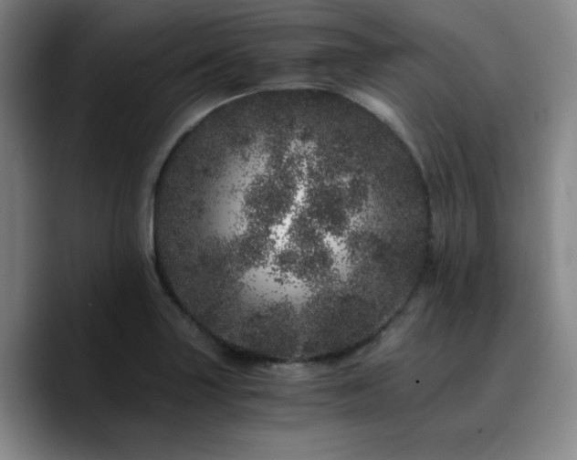 X0000090721227200707201341