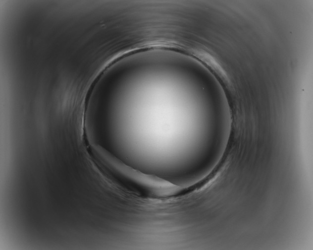 X0000090721228200707201341