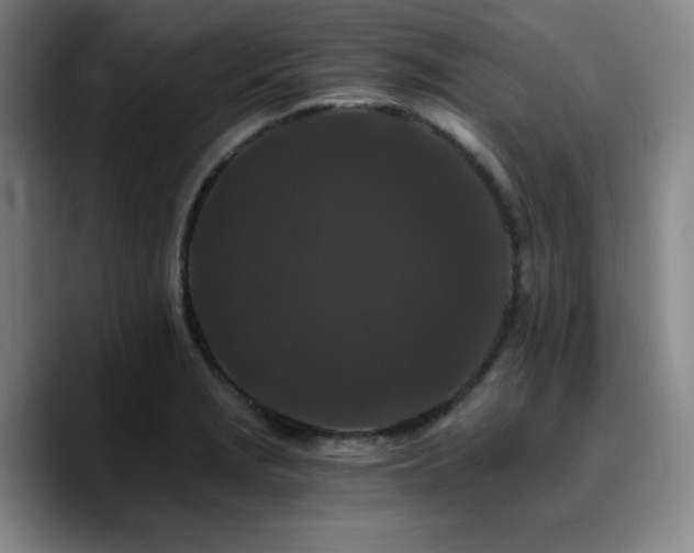 X0000090721229200707201341