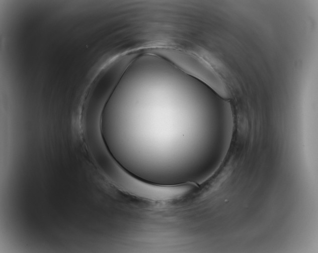 X0000090721230200707201341
