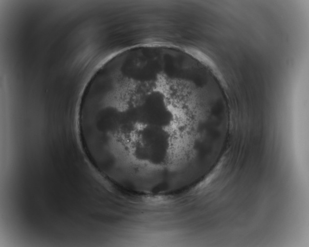 X0000090721231200707201341