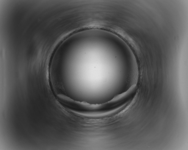 X0000090721232200707201341