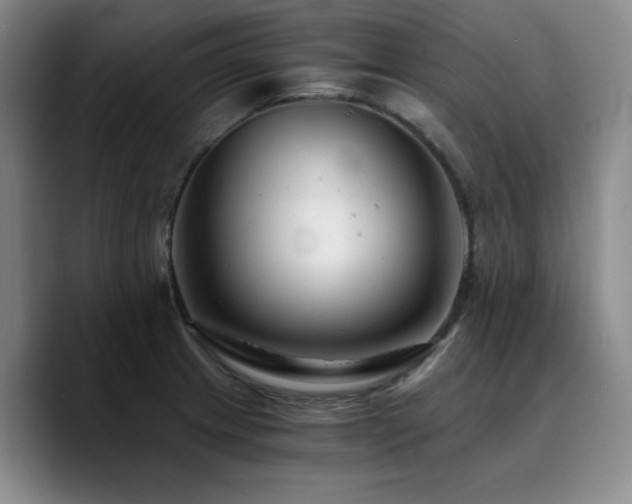 X0000090721233200707201341