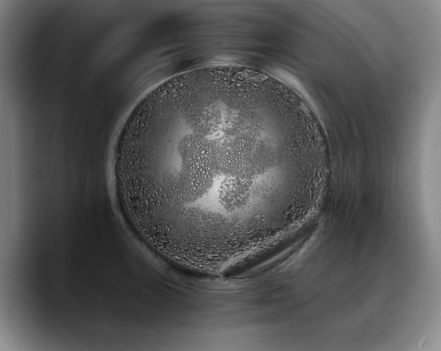 X0000090721235200707201341