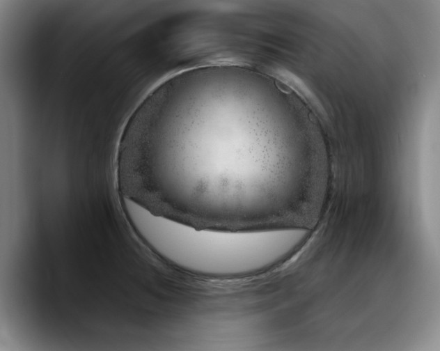 X0000090721236200707201341