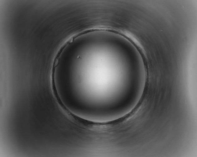X0000090721237200707201341