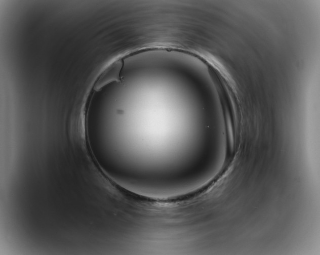 X0000090721238200707201341