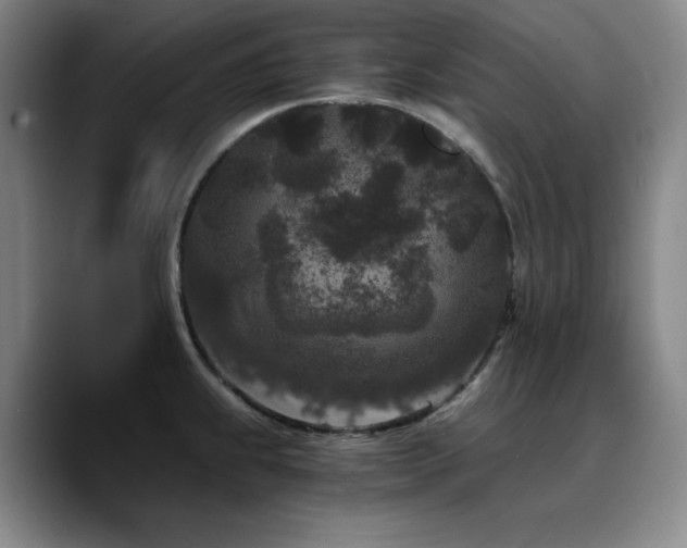X0000090721239200707201341