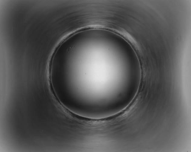 X0000090721240200707201341