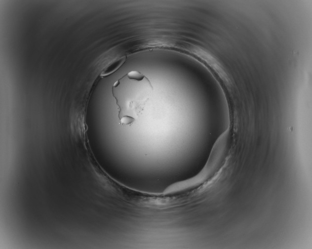 X0000090721241200707201341