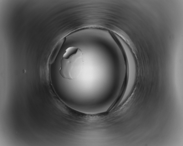 X0000090721242200707201341