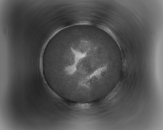 X0000090721243200707201341
