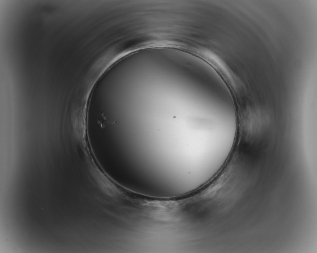 X0000090721244200707201341