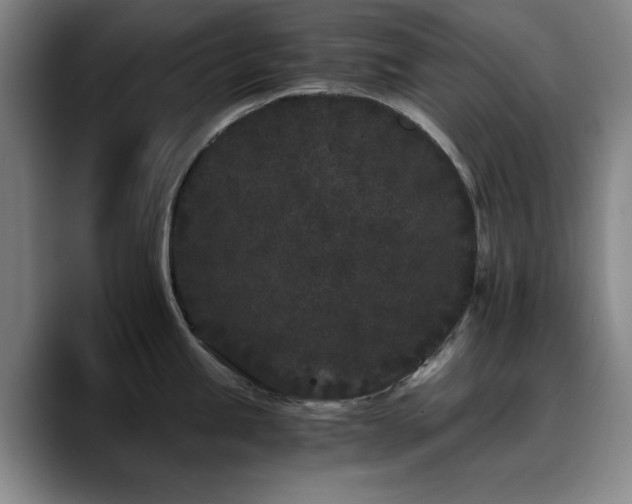 X0000090721245200707201341
