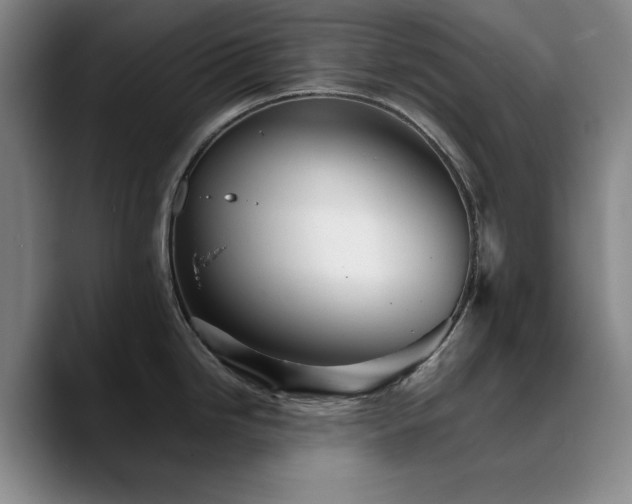 X0000090721246200707201341
