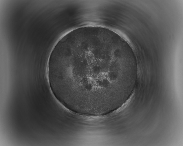 X0000090721247200707201341