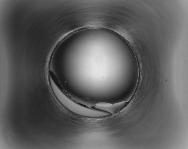 X0000090721248200707201341