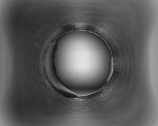 X0000090721249200707201341
