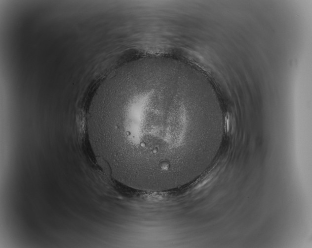 X0000090721251200707201341